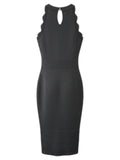 Bandage Dress with Brocade and Scallop Neckline Size 6