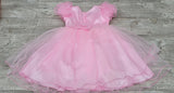 Girl's Rose Dress Size 12/18 Months
